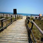 Corallo Cavallino-Treporti